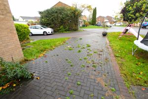 Driveway- click for photo gallery